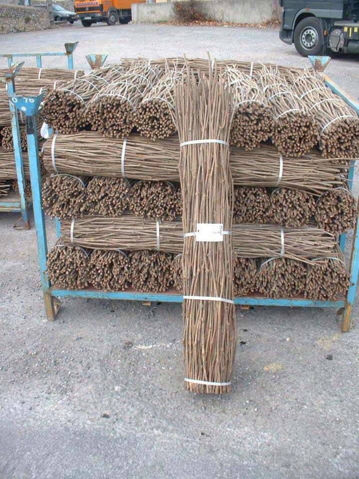 Plantation mécanique Occitanie