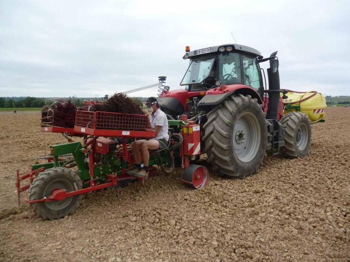 Nous vous ferons gagner un temps précieux grâce à la plantation mécanique de vignes