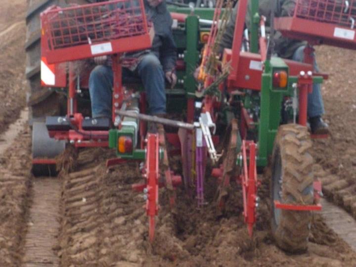Pourquoi choisir la plantation mécanique pour optimiser votre vignoble ? Occitanie