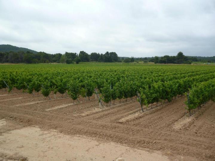 Plantation mécanique Occitanie